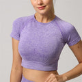 Yoga Set Seamless Women Long Sleeve Blouses Top Gym Sport Bra High Waist Tight Leggings Fitness Suit Shorts Sets (Color : Purple Shirt, Size : Large)