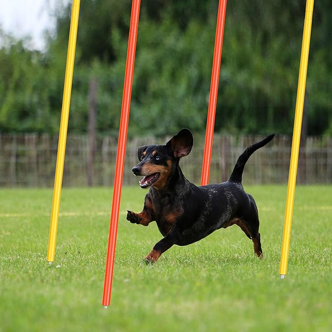 4 Pcs Training Agility Poles 5ft Adjustable Poles Soccer Training Sticks Sports Speed and Agility Trainings Equipment for Football Sport Soccers Speed Trainings