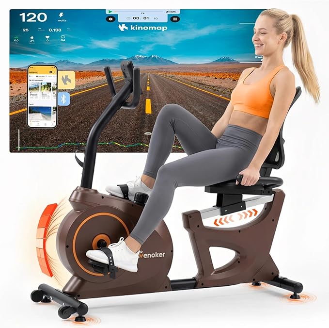 Recumbent Exercise Bikes for Home | Light Commercial-Grade Recumbent Bike for Seniors | Magnetic Recumbent Exercise Bikes with Heart Rate Handle | Smart App,LCD with Comfortable Seat