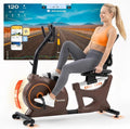 Recumbent Exercise Bikes for Home | Light Commercial-Grade Recumbent Bike for Seniors | Magnetic Recumbent Exercise Bikes with Heart Rate Handle | Smart App,LCD with Comfortable Seat