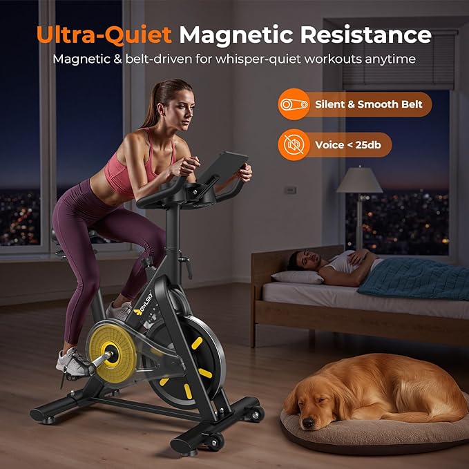 OWLSKY Exercise Bike with APP, Stationary Bike for Home, 300 lbs Capacity Quiet Indoor Cycling Bike Gym Cardio Workout, Adjustable Seat & Tablet Holder