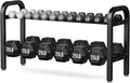 2 Tier Dumbbell Rack, Weight Rack for Home Gym, 300 lb Capacity