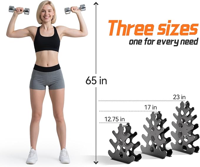 4 Tier Dumbbell Rack, Weight Rack For Home Gym, Dumbbell Stand for Free Weights