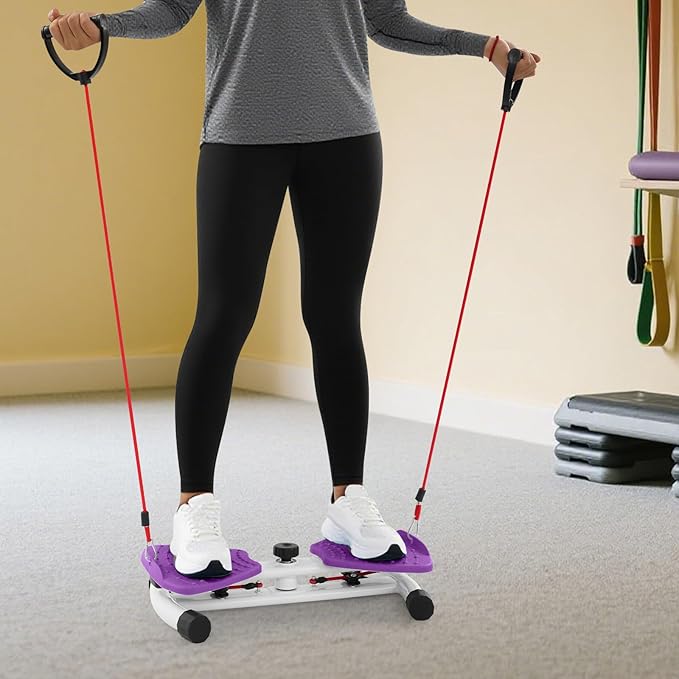 Waist Twister Ab Machine, 260 lbs Capacity Exercise Twist Board with Resistance Bands, Home Gym Equipment for Women/Men