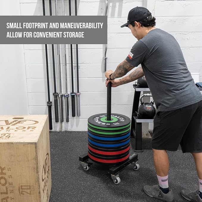 Valor Fitness Bumper Plate Storage Rack, Olympic Weight Plate Tree with Locking Wheels, 500 lb Capacity, 2 Inch Plate Holder for Home Gym, Garage Gym, and Commercial Fitness Use
