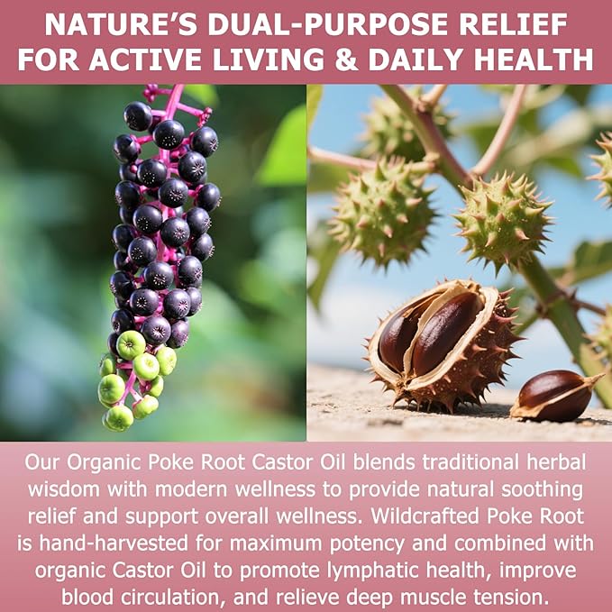 Poke Root Castor Oil Organic – 3.4 fl oz (100ml) Natural Lymphatic Support Massage Oil, Soothing Relief for Cysts, Boils, Breast, Fibroids, Swollen Lymph Nodes & Joint – Deep Tissue Drops