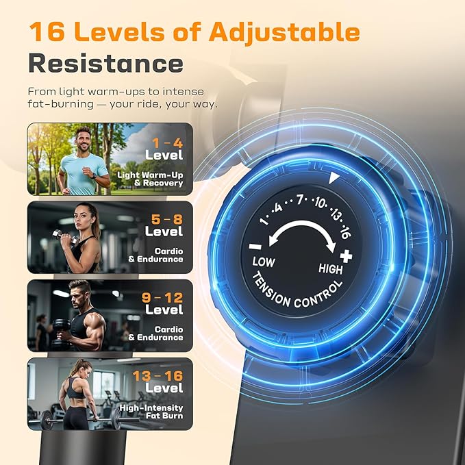 OWLSKY Elliptical Exercise Machine, Elliptical Machine for Home,16 Resistance Levels,300LBS,LCD Monitor,Device Holder