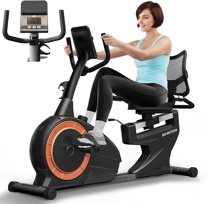 Recumbent Exercise Bike, Magnetic Staionary Bikes for Home with 8-level Resistance & Adjustable Seat, Staionary Bike for Seniors Adults, 350 LBS & LCD Monitor