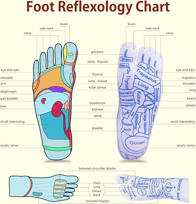 Reflexology Socks Set with Triangular Acupressure Massage Tool - Plantar Fasciitis Relief for Heel Pain, Muscle Tension - Men & Women (Travel, Portable) (Brown)