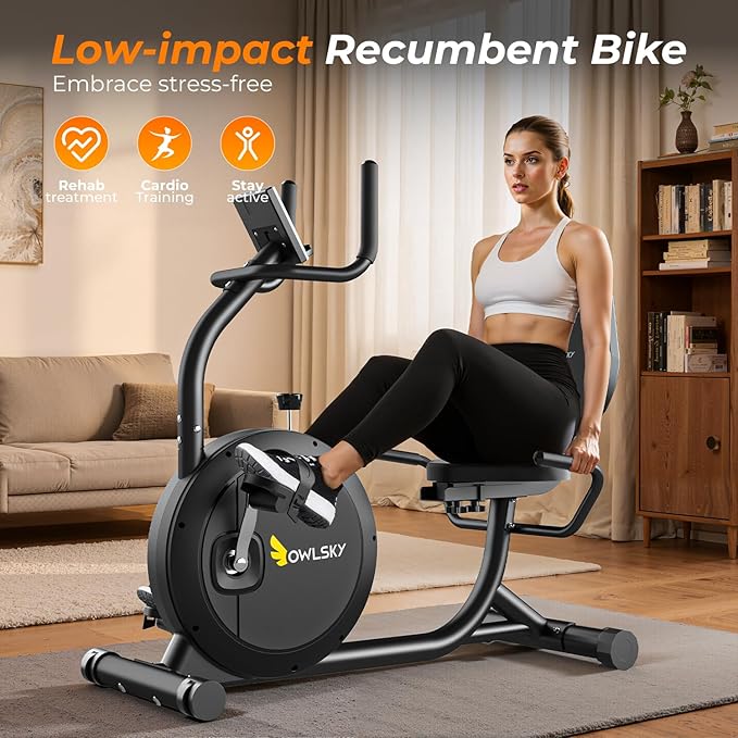 OWLSKY Recumbent Exercise Bike for Home Gym, Magnetic Stationary Bike with 16-Level Resistance, Quiet 15LBS Flywheel, 300LBS Capacity, Low-Impact Cardio & Physical Therapy