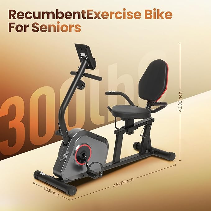 Recumbent Exercise Bike, Stationary Bike, Exercise Bikes for Home with 8 Levels Magnetic Resistance, 300 LBS Weight Capacity, LCD Monitor, Heart Rate Handle and Device Holder