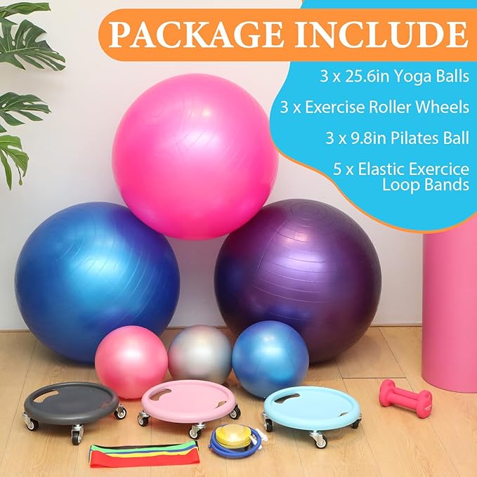 Soulchen 14 Pcs Yoga Pilates Equipment for Women Include Abdominal Roller Wheel 26 Inches Pilate Ball with Pump Exercise Resistance Bands 9.8 Inches Fitness Balls for Home Office Gym Fitness