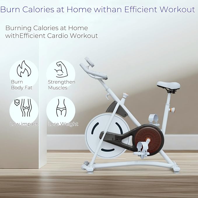 NAYSAYE Exercise Bike, Adjustable Stationary Bikes with Smartphone Mount, Professional Exercise Bike with Digital Pulse Display for Home and Office