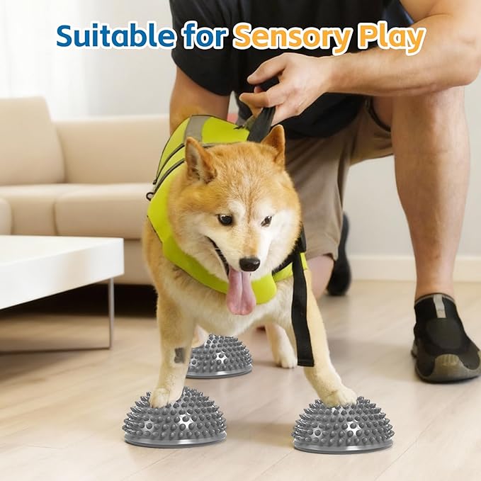 Wobble Cushion Set for Sensory Kids and Balance Training - Disc Plus 4 Pods, Board With Pump, Inflatable Stepping Pads for Adults
