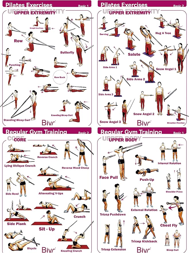 Portable Pilates Home Kit - Home Workout Equipment with Designed Pilates Loop Straps, Fabric Long Resistance Exercise Bands, Door Anchors and Aluminum Carabiners for Working Out as in Reformer