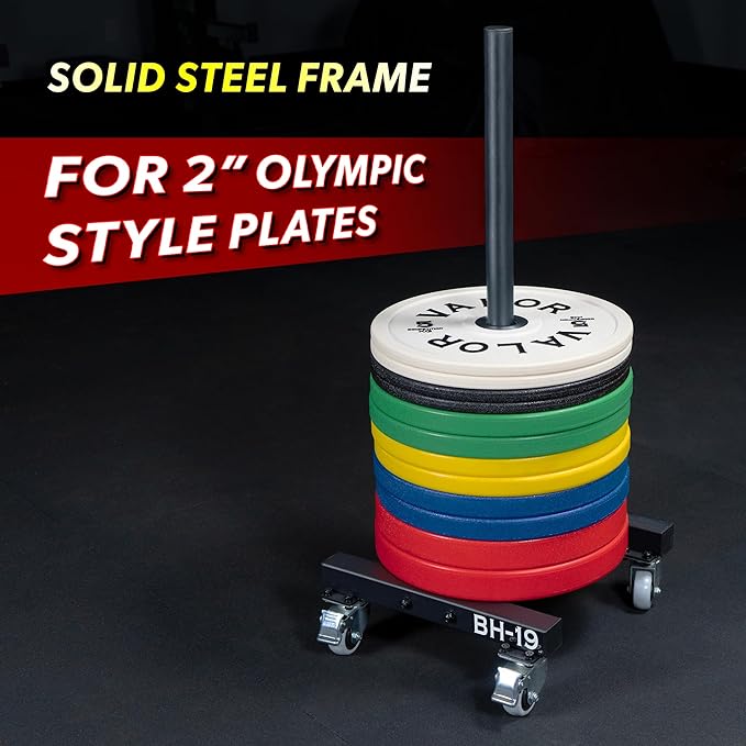 Valor Fitness Bumper Plate Storage Rack, Olympic Weight Plate Tree with Locking Wheels, 500 lb Capacity, 2 Inch Plate Holder for Home Gym, Garage Gym, and Commercial Fitness Use