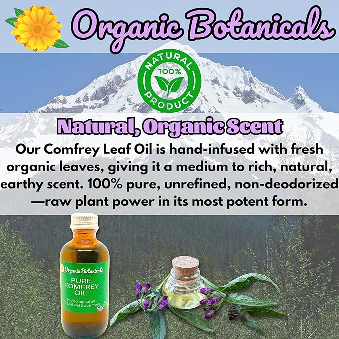 Pure Organic Comfrey Leaf Infused Oil - Skin Care for Joints, Back, Muscles, Fractures, Bruises, and Minor Wounds, Natural Herbal Body Massage Oil, Certified Organic (2 oz)