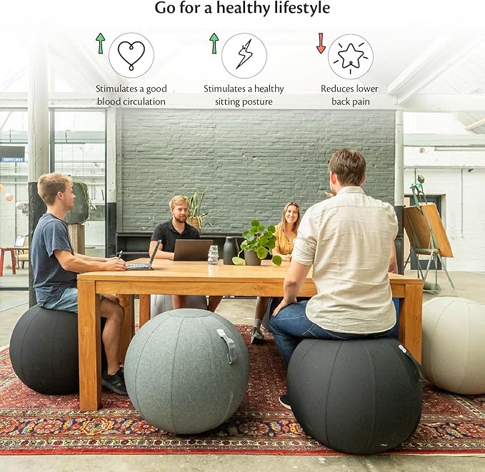 Balance Ball Chair for Office & Home - Ergonomic Exercise Ball for Posture & Back Pain Relief, Yoga Ball Chair - Sitting Ball with Washable Linen Cover