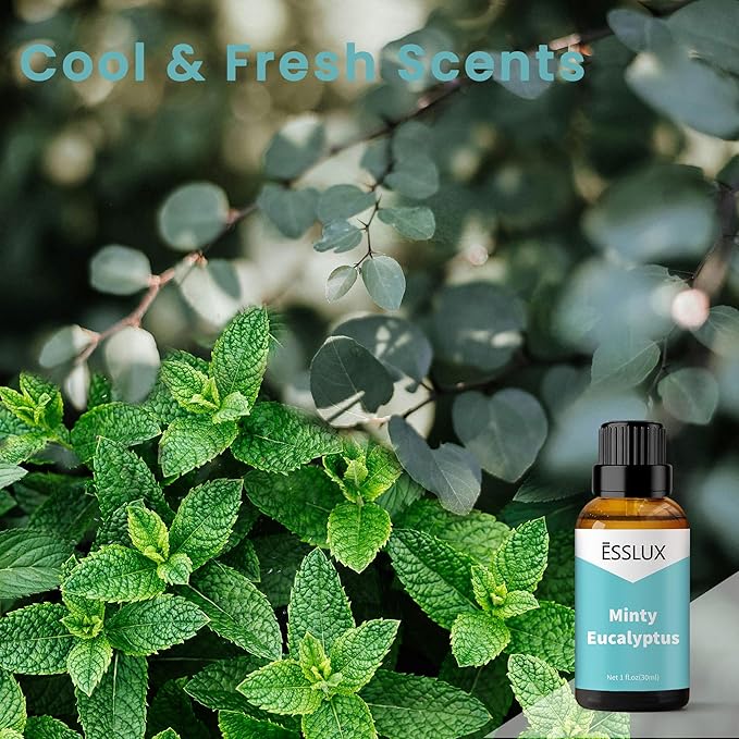 Minty Eucalyptus Fragrance Oil - ESSLUX Essential Oils for Diffuser, Candle Soap Making Scents, Fresh Clean Scented Perfume for Humidifier Home Fragrance, 1 fl oz