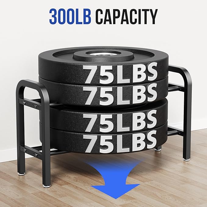 2 Tier Dumbbell Rack, Weight Rack for Home Gym, 300 lb Capacity