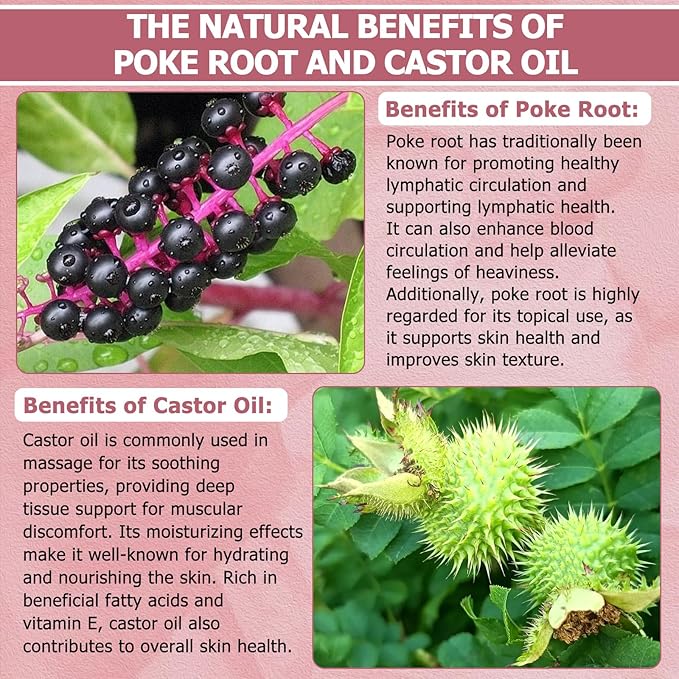 Poke Root Castor Oil Organic - 3.4 Fl Oz - Lymphatic Support Massage Liquid, Supports Boils, Fibroids, Cysts, Swollen Lymph Nodes, Breast & Joint Health, Natural Deep Tissue Relief Drops