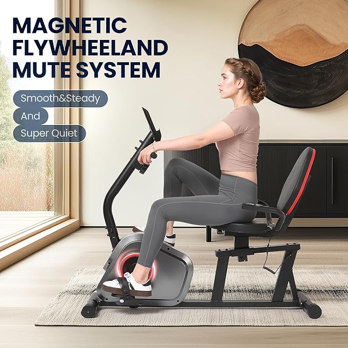 Recumbent Exercise Bike, Stationary Bike, Exercise Bikes for Home with 8 Levels Magnetic Resistance, 300 LBS Weight Capacity, LCD Monitor, Heart Rate Handle and Device Holder