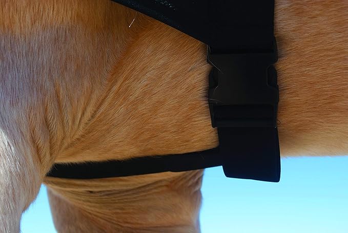 BENEFAB Therapeutic Horse Hood with Far-Infrared Powder and 27 Medical Grade Magnets | Rejuvenate SmartHood Emits Far-Infrared Rays Keeping Neck & Shoulders Warm, Relaxed, Reduce Pain & Stiffness