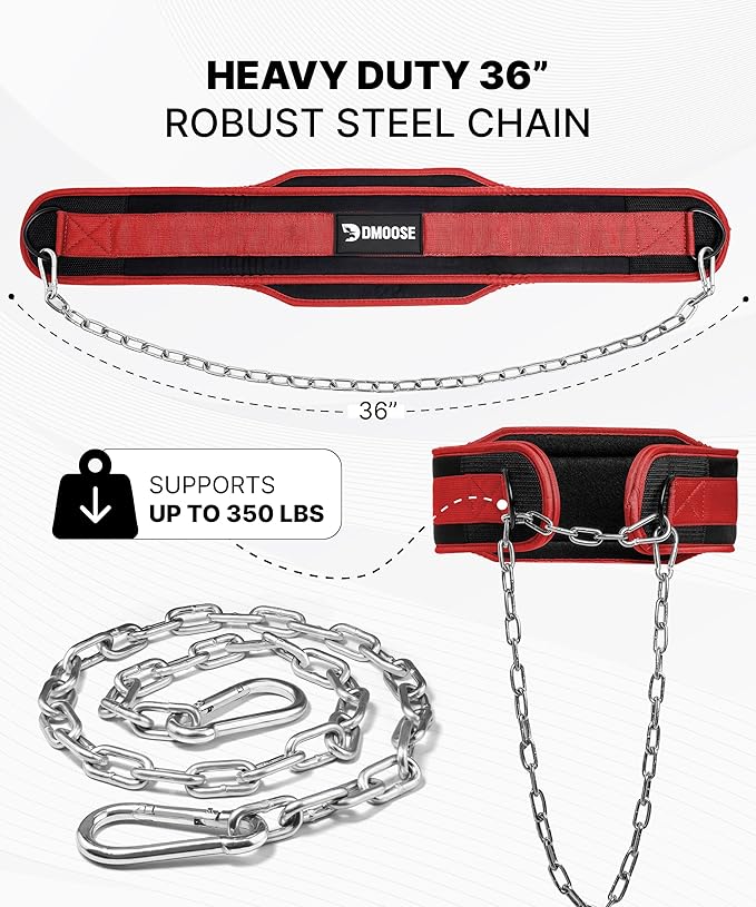 DMoose Fitness Dip Belt for Weight Lifting, Pullup, Squats & Dips - 36" Robust Steel Chain, Comfortable Neoprene Padding Supports 350lbs - Gym Weight Belt for Strength Training Workout & Weightlifting