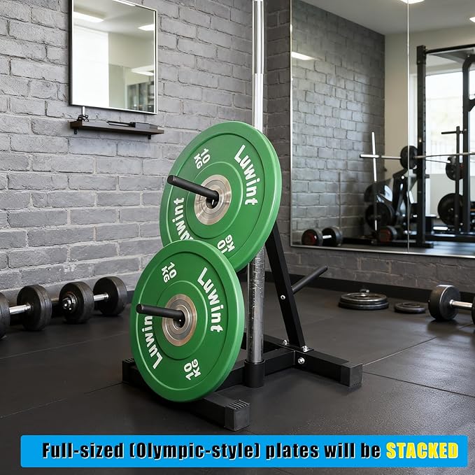 Luwint Weight Plate Tree Rack with Barbell Storage for Home Gym