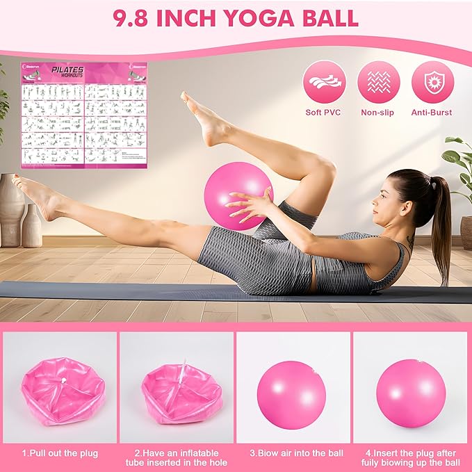 Pilates Ring Set Exercise Equipment, with Exercise Resistance Bands Set, Pilates Ball, Sliding Disks. Portable Home Gym - with Fitness Guide Poster
