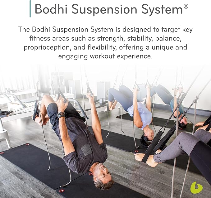 Balanced Body Bodhi Suspension System, Pilates Gym Equipment, Suspension Straps Exercise Equipment for Home Gym or Studio, Gray