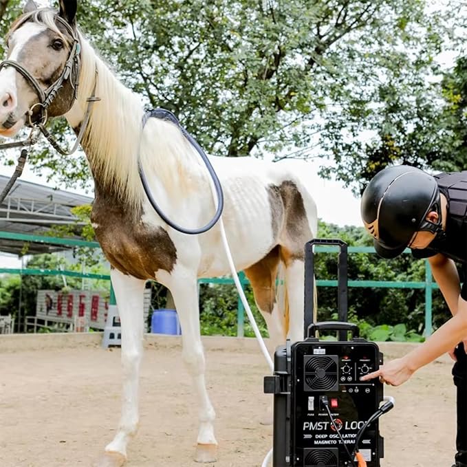 PEMF Therapy Device for Horses - Magnetic Pulse Machine w/X-Wing, Single & Butterfly Loop Attachments - Lameness Relief, Colic Care & Pain Recovery