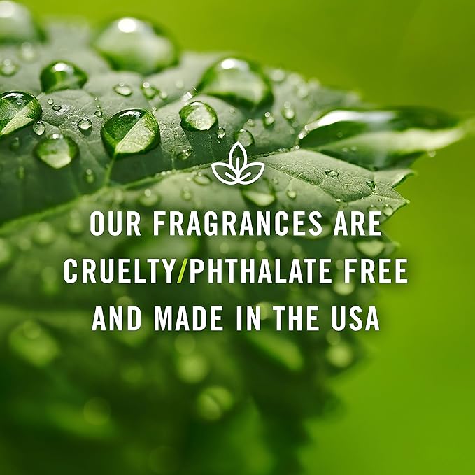 P&J Trading - Rosemary Scented Oil 10ml - Fragrance Oil for Candle Making, Soap Making, Diffuser Oil