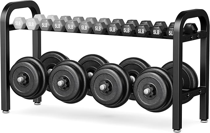 2 Tier Dumbbell Rack, Weight Rack for Home Gym, 300 lb Capacity