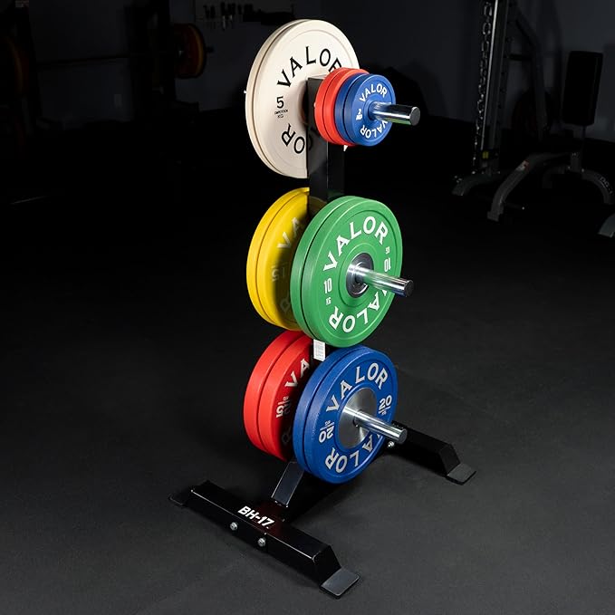 Valor Fitness Weight Plate Rack with Barbell Holders – Heavy-Duty Steel Storage Tree with 6 Pegs and 2 Vertical Bar Sleeves for Standard and Olympic Plates – 800 lb Capacity for Home & Garage Gyms