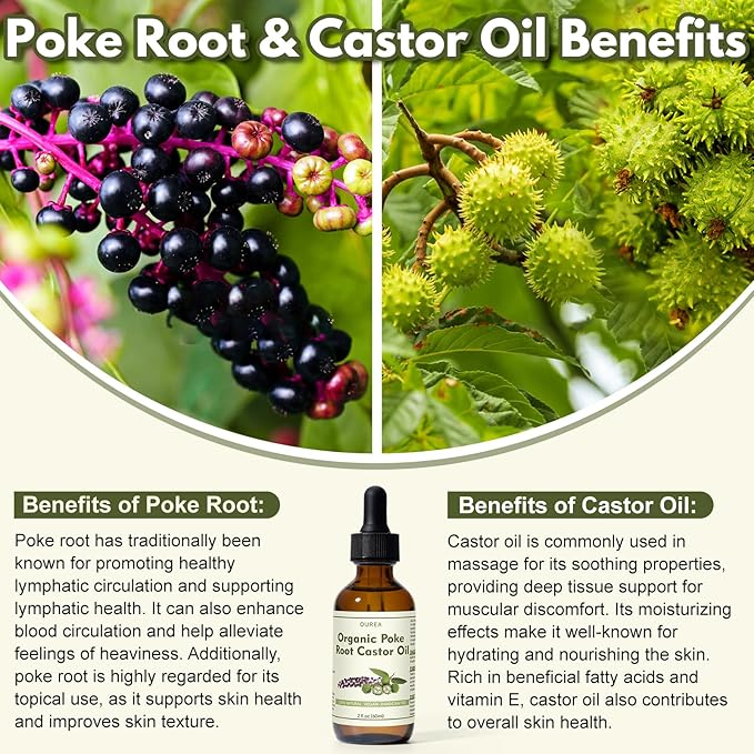 Organic Poke Root Castor Oil – 2 Fl Oz Natural Lymphatic Support Massage Oil, Soothing Relief for Cysts, Boils, Breast, Fibroids, Swollen Lymph Nodes & Joint – Deep Tissue Drops
