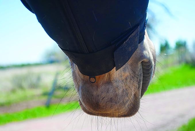 BENEFAB Therapeutic Lycra Horse Hood | Far-Infrared and Magnetic Therapy Keeping Neck & Shoulders Warm Relaxed Reduce Pain Stiffness Better Performance Recovery (Medium)