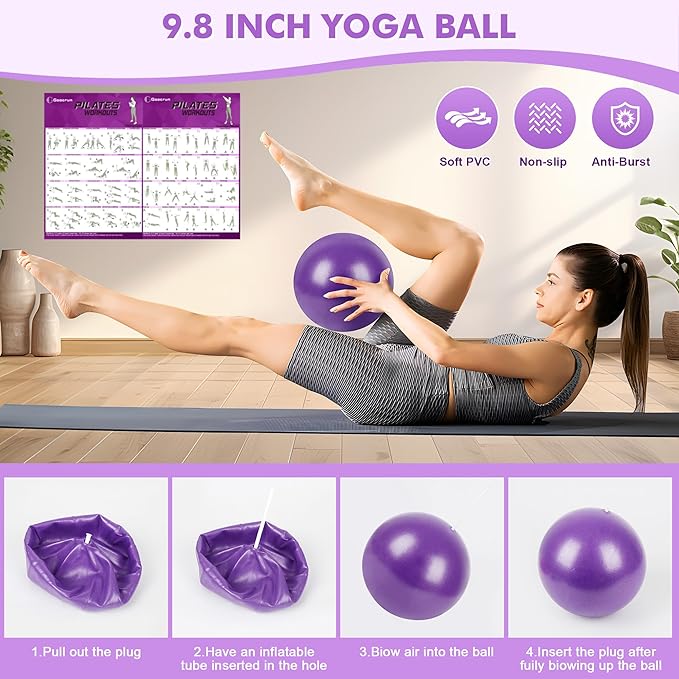 Pilates Ring Set Exercise Equipment, with Exercise Resistance Bands Set, Pilates Ball, Sliding Disks. Portable Home Gym - with Fitness Guide Poster