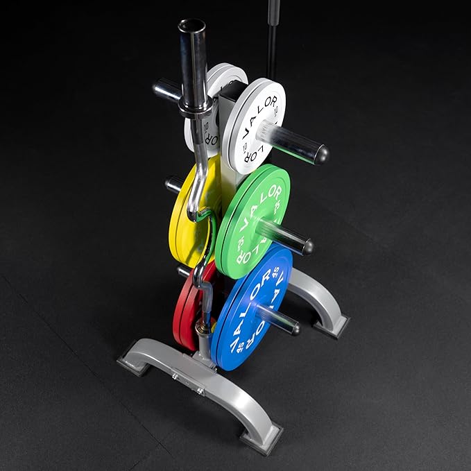 Valor Fitness Weight Plate Rack with Barbell Holders – Heavy-Duty Steel Storage Tree with 6 Pegs and 2 Vertical Bar Sleeves for Standard and Olympic Plates – 800 lb Capacity for Home & Garage Gyms