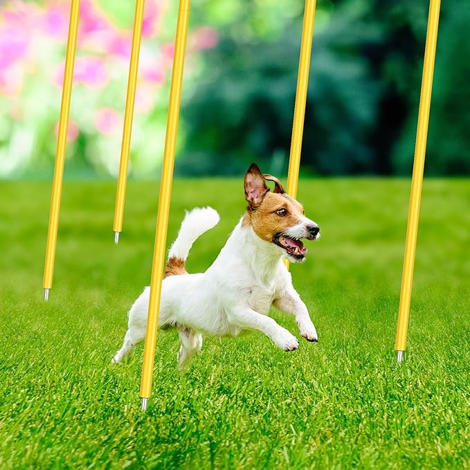 Blulu Training Agility Poles 5ft Forza Slalom Adjustable Soccer Training Poles Soccer Sticks Agility Equipment for Football Sport Football Soccer Speed