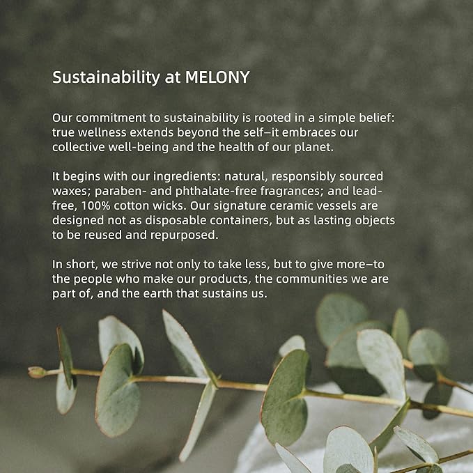 MELONY Massage Candle | Gentle Softening for Nourished, Hydrated, Balanced Skin (Enigmatic Cedar 130 g / 4.5 oz)