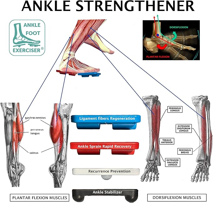 Ankle Foot Exerciser® Ankle Strengthener for ankle sprain relief, Foot Strengthener for plantar fasciitis; Ankle mobility, Posture corrector, Proprioception