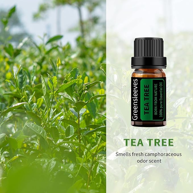 GREENSLEEVES Rose and Tea Tree Essential Oil Set, 2 x 10ml Pure Plant-Based Fragrance Oil for Aromatherapy, Essential Oils for Diffuser, Massage, Bath Bomb, Scented Candle Soap Making