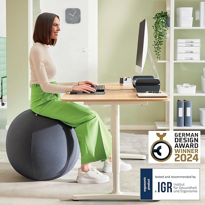 Leitz Sitzball für aktives Sitzen, Gymnastikball, Ergonomische Alternative, INKL. Stoffbezug, Handluftpumpe