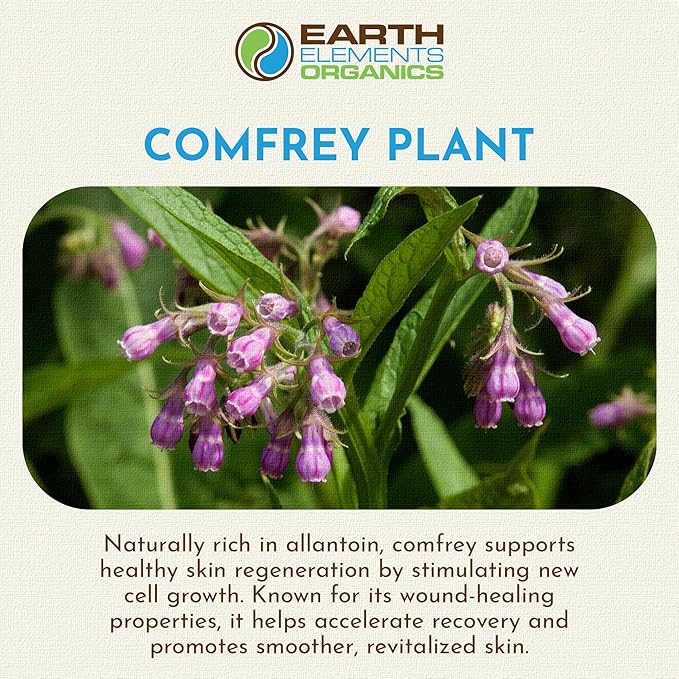 Comfrey Body Oil Raw, Infused Herbal Care, Organic Skincare, Unscented, for All Skin Types - 1 fl oz